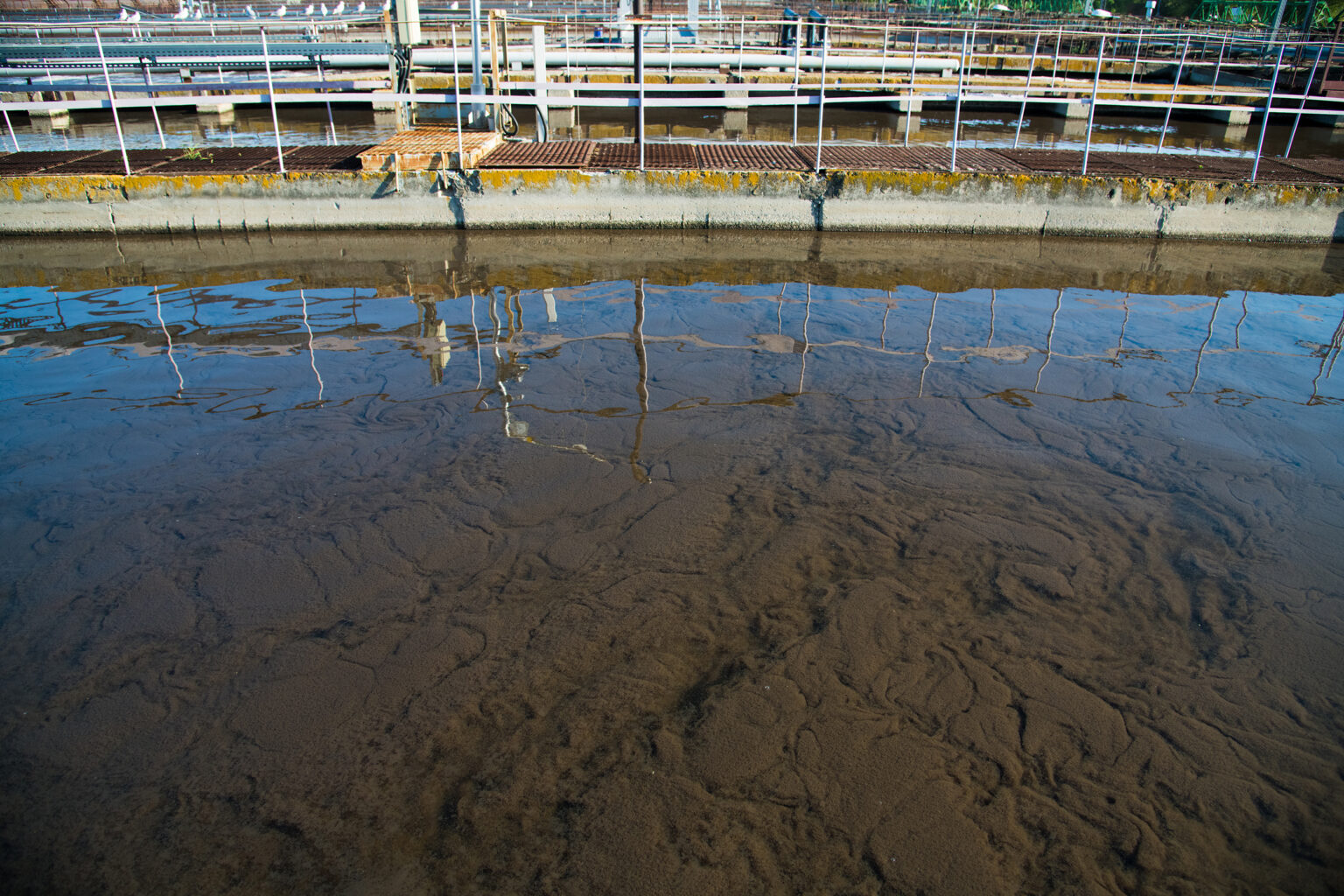 Vasca con acqua pulita. Sul fondo si depositano i fanghi di depurazione.