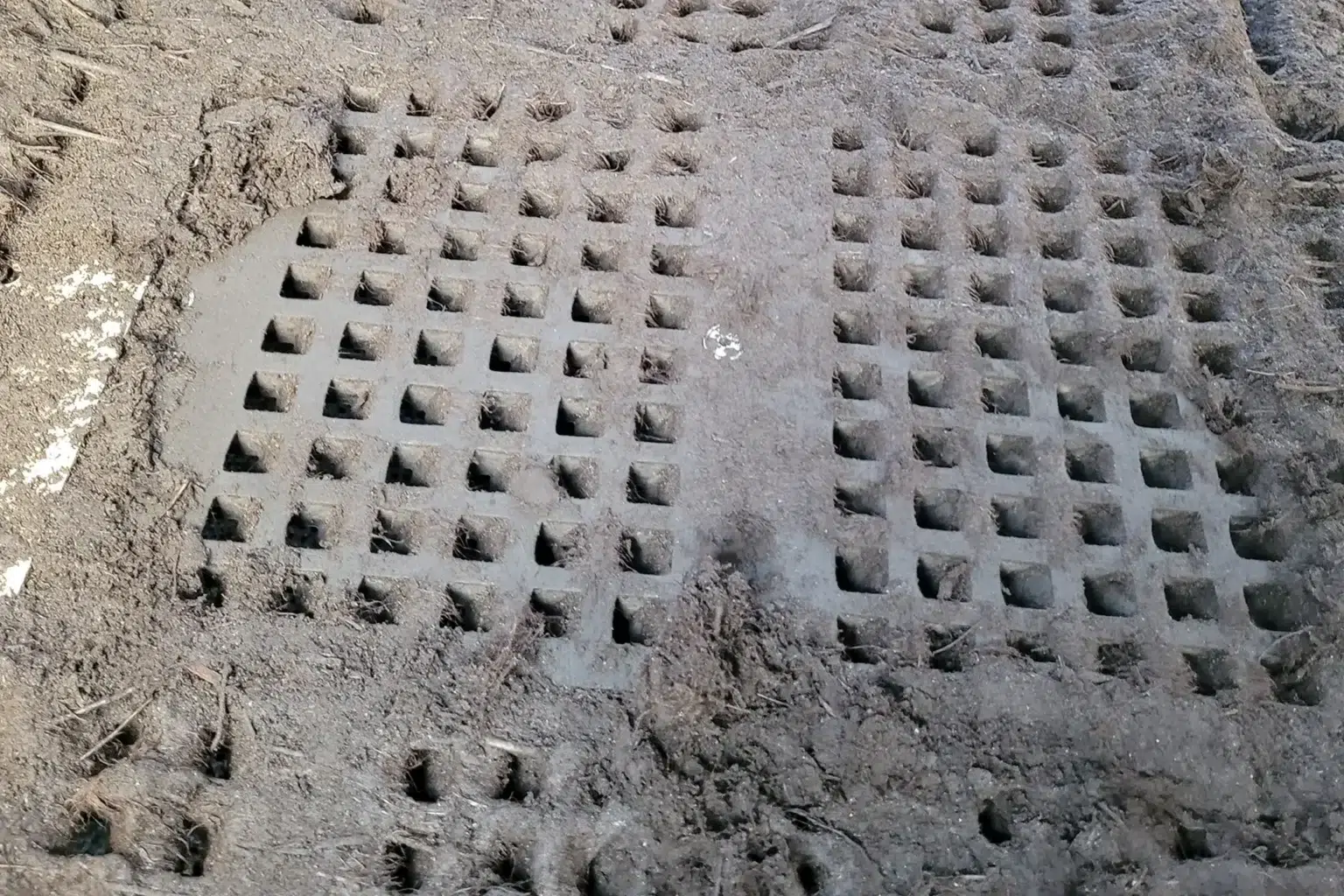 Filtro sporco con fori quadrati, compatibile con la tecnologia AutoCLEAN.